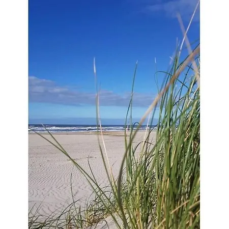Holiday Vacation By The Sea 沙博伊茨